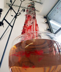 dissolving dress, london college of fashion: photo - Alex Maguire