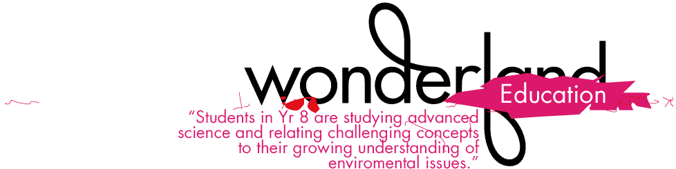 Wonderland, education micro-site.